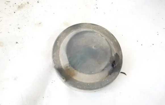Volkswagen PASSAT B5 Headlight/headlamp dust cover