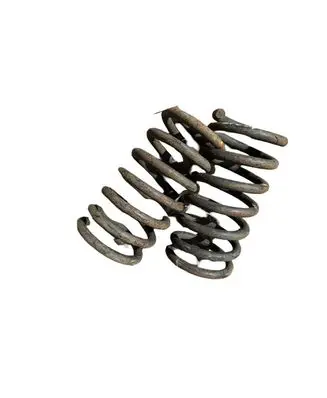 Rear coil spring