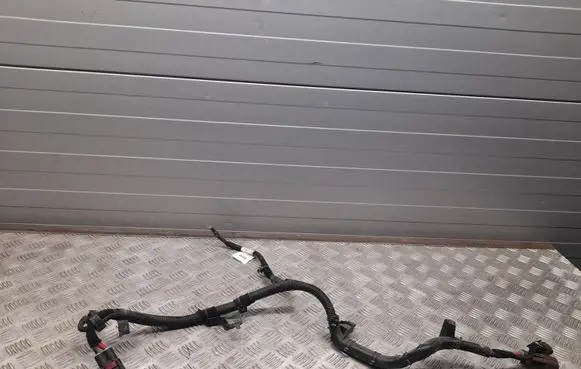 Alfa Romeo Stelvio Other wiring loom 00505518250