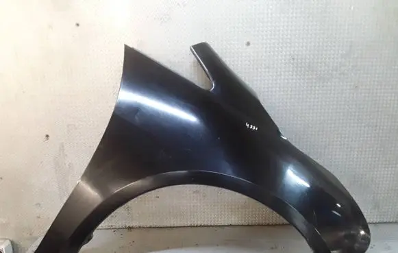 Mitsubishi Grandis Fender 