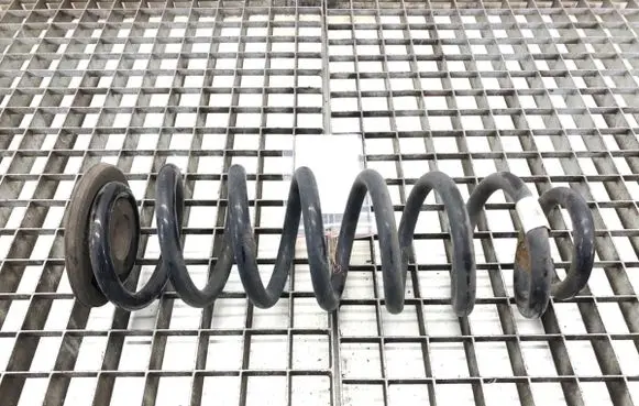 Volkswagen Tiguan Rear coil spring 