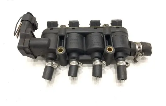 Volkswagen PASSAT B5.5 LP gas injector 67R-010233