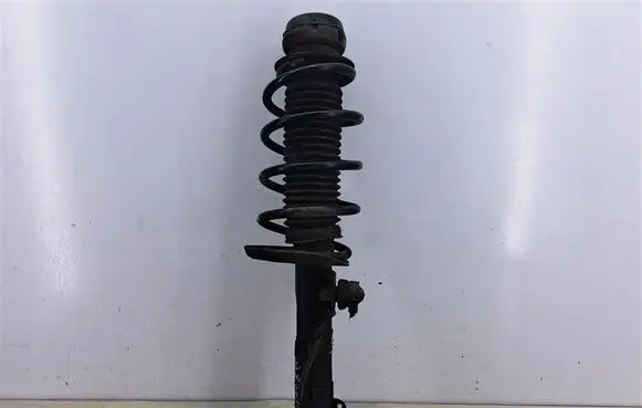 Skoda Fabia Mk2 (5J) Front shock absorber with coil spring 6Q0413031BJ