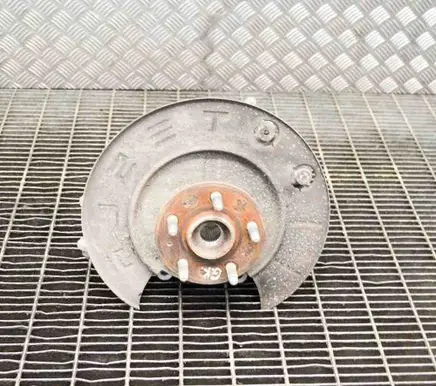 Tesla Model S Rear wheel hub 107216000A