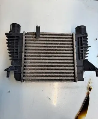 Renault Clio III Intercooler radiator 8200471885 880590X