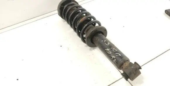 BMW X3 F25 Rear shock absorber/damper F25H010BL 6796317