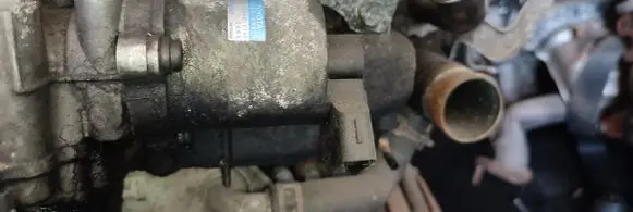 EGR valve