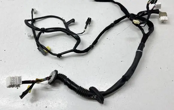 Front door wiring loom