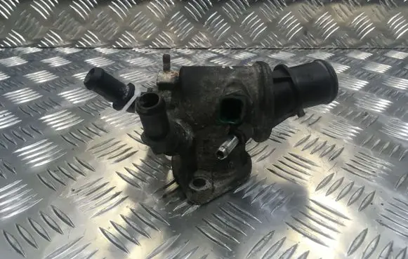 Thermostat/thermostat housing