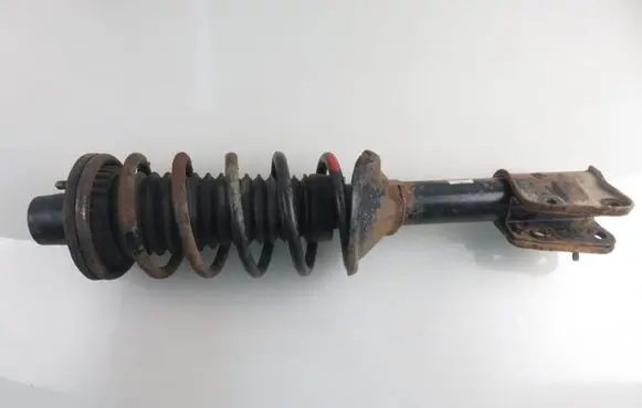 Land Rover Freelander Rear shock absorber with coil spring 22103900