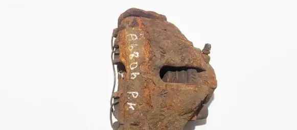 Volkswagen PASSAT B5 Front brake caliper