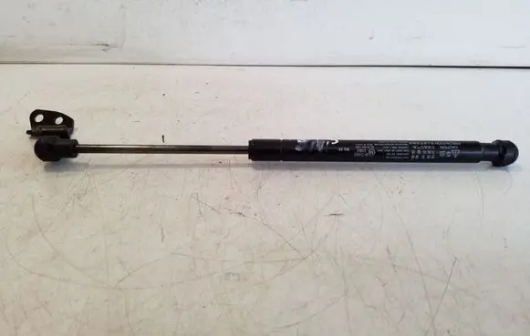 Chevrolet Captiva Rear window strut damper 82553891300
