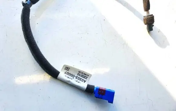 KIA EV6 Other wiring loom a030300007 a0303-00007