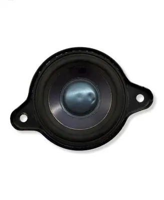 Mercedes-Benz B W245 Panel speaker A1698201802
