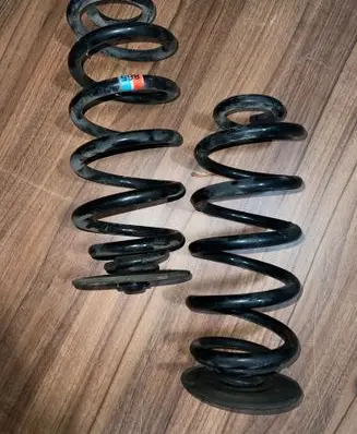 Rear coil spring