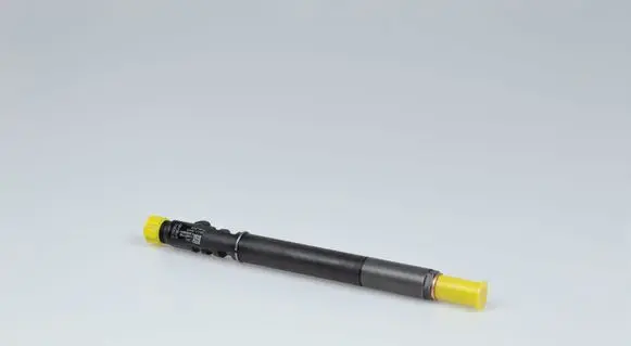 Citroen C3 Fuel injector EJBR01001A