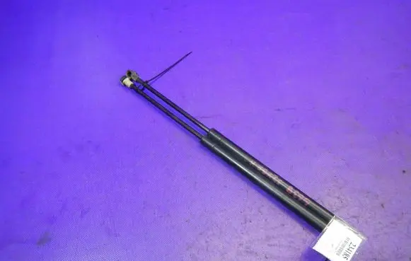 Renault Scenic I Tailgate strut 