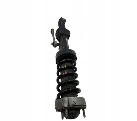 Volkswagen Touareg II Front shock absorber/damper 7P0 |000123456004
