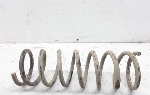 Rear coil spring