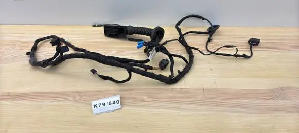 BMW 2 F44 Other wiring loom 124931-10