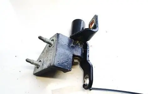 Rear door lower hinge