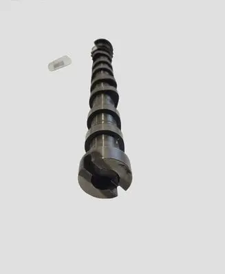 Peugeot 308 Camshaft 9825013780