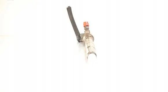 Skoda Fabia Mk2 (5J) Fuel injector