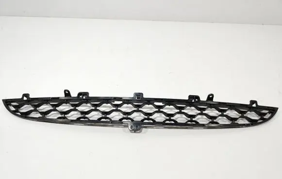 Jaguar F-Type Front bumper lower grill EX53-17F791-E