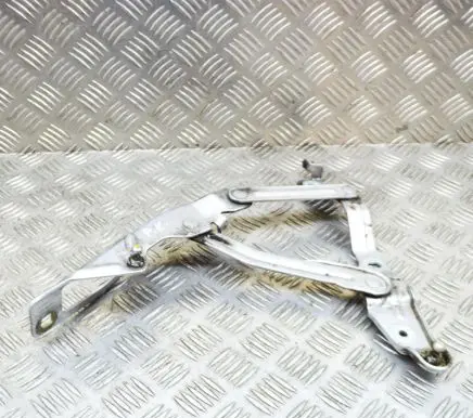 Audi TT Mk1 Engine bonnet/hood hinges 8N0823301