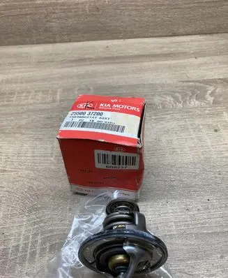 Hyundai Santa Fe Thermostat 2550037200