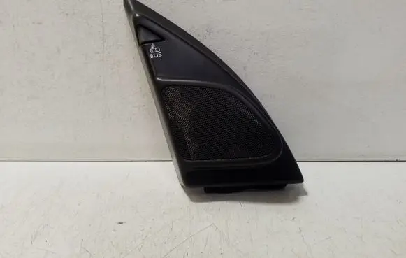 Front door high frequency speaker