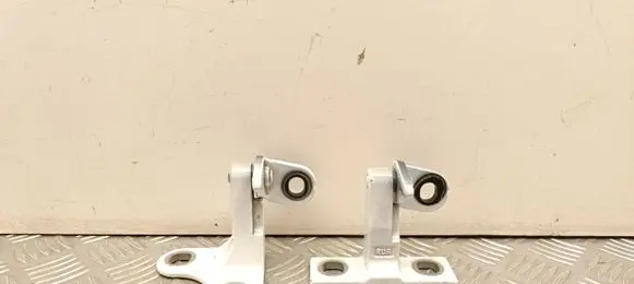 Tesla Model Y Rear door hinge set 149749800C