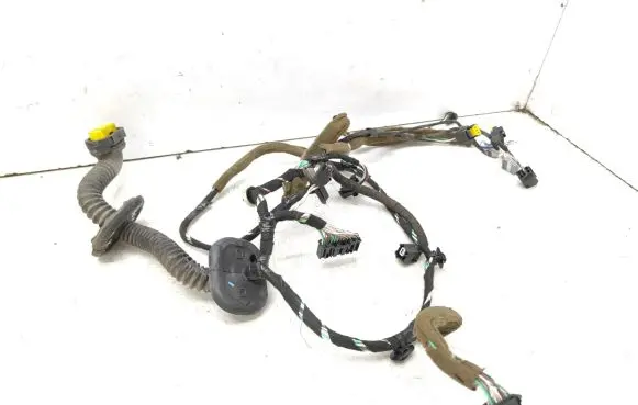 Renault Laguna III Front door wiring loom 241250105R