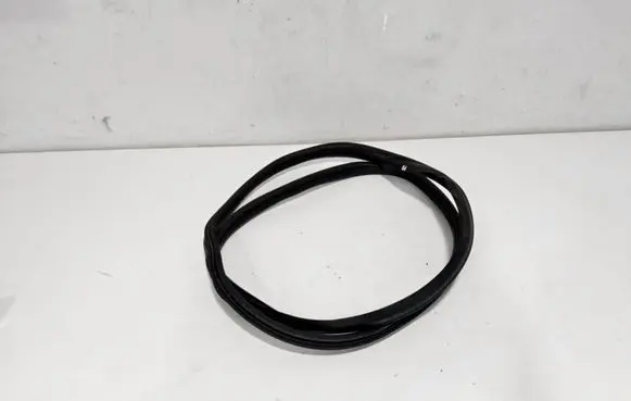 Fiat Tipo Rubber seal front door (on door) 52102247