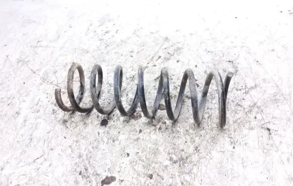 Ford Focus C-MAX Rear coil spring