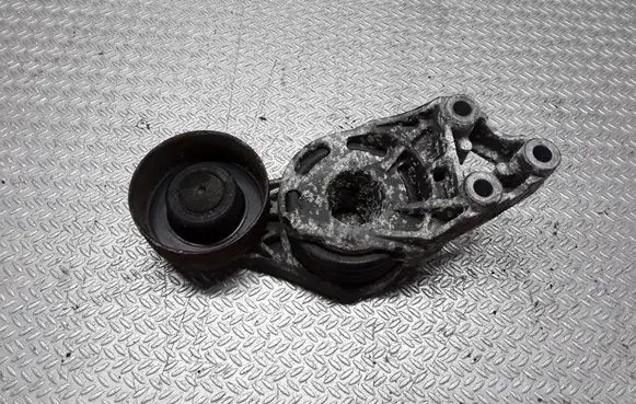 Seat Ibiza III (6L) Generator/alternator belt tensioner 045903315A