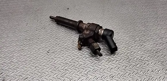 Citroen Berlingo Fuel injector 9636819380