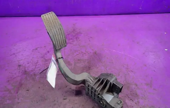 Fiat Punto (199) Accelerator throttle pedal