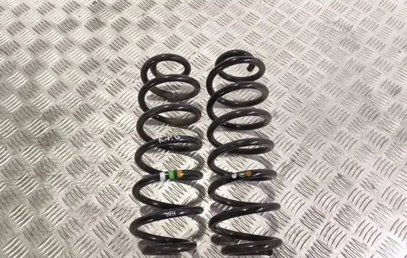 Rear coil spring