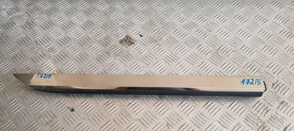 Renault Clio V Rear door trim (molding) 828760551R
