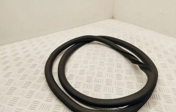 DS Automobiles 4 II Rear door rubber seal (on body)