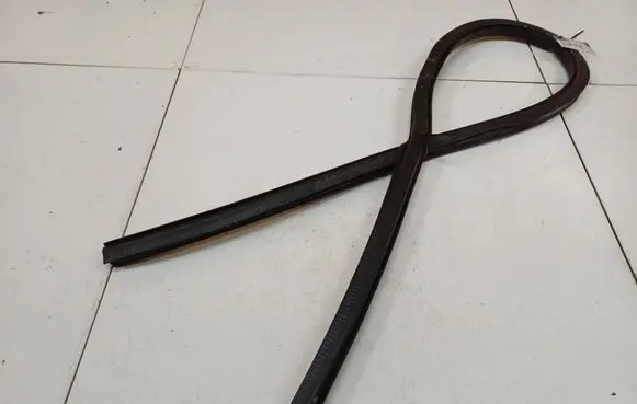 Volkswagen PASSAT CC Rubber seal front coupe door 