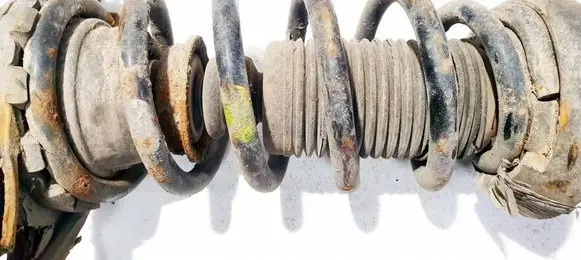 Nissan Primera Rear coil spring 