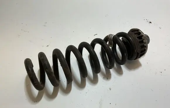 BMW 3 G20 G21 Rear coil spring