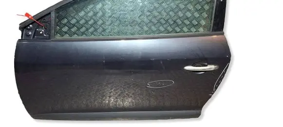 Renault Megane III Front door S26301076
