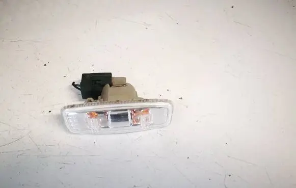 Front fender indicator light