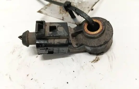 Skoda Praktik (5J8) Detonation knock sensor 0261231146