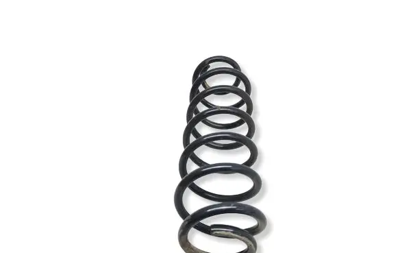 Skoda Fabia Mk3 (NJ) Rear coil spring 