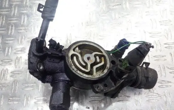 Citroen Berlingo Engine coolant pipe/hose 9624839210