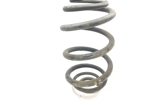 Renault Trafic III (X82) Rear coil spring